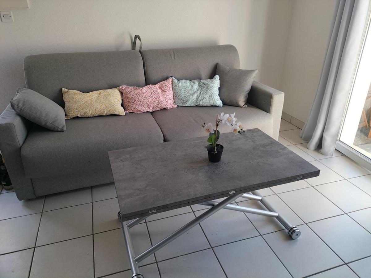 T2 Avec Piscine-Le Family 67 Apartman Pierrefiche  Kültér fotó