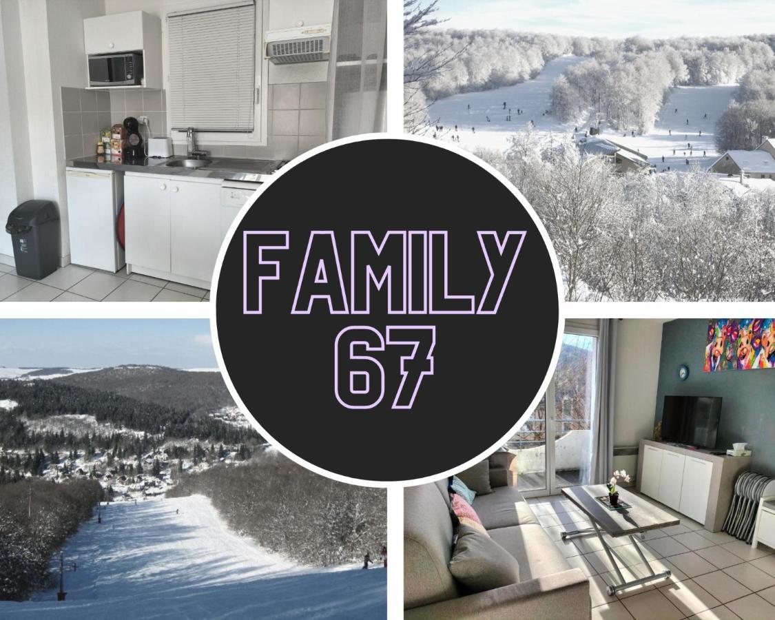 T2 Avec Piscine-Le Family 67 Apartman Pierrefiche  Kültér fotó