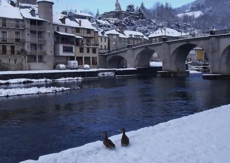 T2 Avec Piscine-Le Family 67 Apartman Pierrefiche  Kültér fotó
